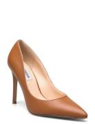 Evelyn-E Pump Shoes Heels Pumps Classic Brown Steve Madden