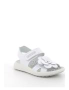 Ppm 58972 Shoes Summer Shoes Sandals White Primigi