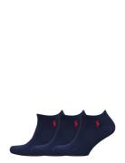 Low-Cut Cotton Sock 3-Pack Ankelsokker Korte Strømper Blue Polo Ralph ...