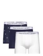 Bci Cotton/Elastane-3Pk-Bxb Boksershorts Navy Polo Ralph Lauren Underw...