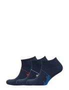 Big Pony Sock 3-Pack Ankelsokker Korte Strømper Blue Polo Ralph Lauren...