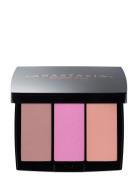 Blush Trio Pool Party Rouge Sminke Pink Anastasia Beverly Hills