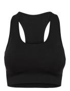 Onpdaisy Seamless Sports Bra - Opus Lingerie Bras & Tops Sports Bras -...