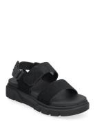 Greyfield Sandal Backstrap Sandal Black Suede Flate Sandaler Black Tim...