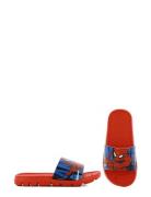 Spiderman Slippers Tøfler Innesko Red Spider-man