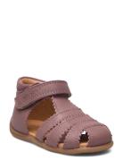 Starters? Scallop Velcro Sandal Shoes Summer Shoes Sandals Purple Pom ...