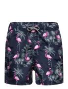 Jpstfiji Jjswim Aop Ss24 Ly Jnr Badeshorts Navy Jack & J S