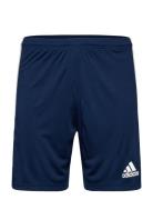 Squadra 21 Short Sport Shorts Sport Shorts Navy Adidas Performance