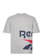 Gs Side Vector Ss Sport T-shirts Short-sleeved Grey Reebok Performance