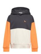 Colorblock Over D Hoody Tops Sweat-shirts & Hoodies Hoodies Multi/patt...