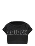 Jg Crpd T Sport T-shirts Short-sleeved Black Adidas Performance