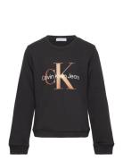 Bronze Monogram Cn Sweatshirt Tops Sweat-shirts & Hoodies Sweat-shirts...