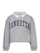 Cropped Polo Sweat Tops Sweat-shirts & Hoodies Sweat-shirts Grey Tom T...