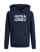 Jjembro Palm Sweat Hood Jnr Tops Sweat-shirts & Hoodies Hoodies Navy J...