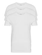 Bci Cotton-3Pk-Ucr Tops T-shirts Short-sleeved White Polo Ralph Lauren...