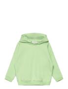 College Hoodie Tops Sweat-shirts & Hoodies Hoodies Green Gugguu