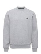 Sweatshirts Tops Sweat-shirts & Hoodies Sweat-shirts Grey Lacoste