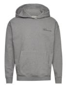 Halo Essential Hoodie Sport Sweat-shirts & Hoodies Hoodies Grey HALO