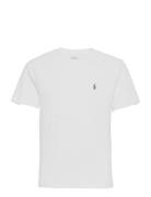 Cotton Jersey Crewneck Tee Tops T-shirts Short-sleeved White Ralph Lau...