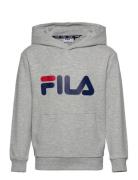 Baj Classic Logo Hoody Sport Sweat-shirts & Hoodies Hoodies Grey FILA