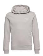 Ckj Stack Logo Hoodie Tops Sweat-shirts & Hoodies Hoodies Grey Calvin ...