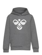 Hmlcuatro Hoodie Sport Sweat-shirts & Hoodies Hoodies Grey Hummel