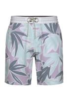 Og Print 18" Cruzer Badeshorts Blue O'neill