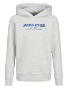 Jjalvis Sweat Hood Jnr Tops Sweat-shirts & Hoodies Hoodies Grey Jack &...