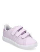 Advantage Base 2.0 Cf C Lave Sneakers Purple Adidas Sportswear