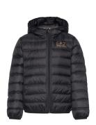 Down Jacket Fôret Jakke Black EA7