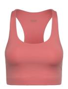 Paloma Bra Lingerie Bras & Tops Sports Bras - All Pink Girlfriend Coll...