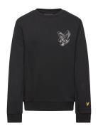 3D Eagle Graphic Sweatshirt Tops Sweat-shirts & Hoodies Sweat-shirts B...