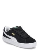 Suede Xl Jr Sport Sneakers Low-top Sneakers Black PUMA