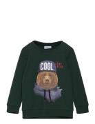 Nmmlabear Sweat Unb Tops Sweat-shirts & Hoodies Sweat-shirts Green Nam...