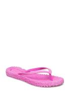 Flipflop With Glitter Shoes Summer Shoes Sandals Flip Flops Pink Ilse ...