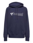 Hmlnoni 2.0 Hoodie Sport Sweat-shirts & Hoodies Hoodies Blue Hummel