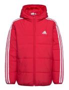 3-Stripes Padded Jacket Kids Sport Jackets & Coats Puffer & Padded Red...