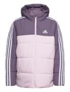 Jg Cb Pad Jkt Sport Jackets & Coats Puffer & Padded Purple Adidas Spor...