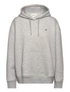 Rel Shield Hoodie Tops Sweat-shirts & Hoodies Hoodies Grey GANT