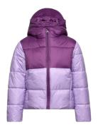 Hooded Jacket Sport Jackets & Coats Puffer & Padded Purple Champion