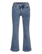 Flared Fit Denim Pants Bottoms Jeans Wide Jeans Blue Tom Tailor