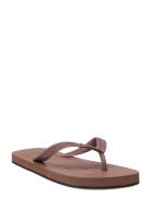 Flip Flop Shoes Summer Shoes Sandals Flip Flops Brown Billi Bi