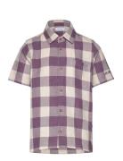 Hank Buffalo Ss Shirt Kids Tops Shirts Short-sleeved Shirts Purple Les...