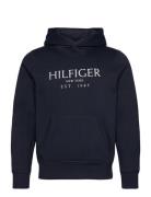 Big Hilfiger Hoody Tops Sweat-shirts & Hoodies Hoodies Navy Tommy Hilf...