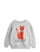 Cat Sp Sweatshirt Tops Sweat-shirts & Hoodies Sweat-shirts Grey Mini R...