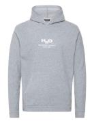 Blåvand Fleece Hoodie Tops Sweat-shirts & Hoodies Hoodies Grey H2O