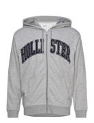 Hco. Guys Sweatshirts Tops Sweat-shirts & Hoodies Hoodies Grey Hollist...