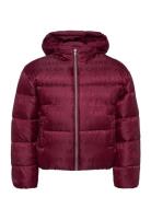 Logo Aop Puffer Jacket Fôret Jakke Red Calvin Klein