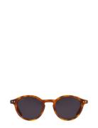 Lia Havana Black Solbriller Black Corlin Eyewear