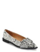 Grail Ballerina Ballerinasko Ballerinaer Multi/patterned Steve Madden